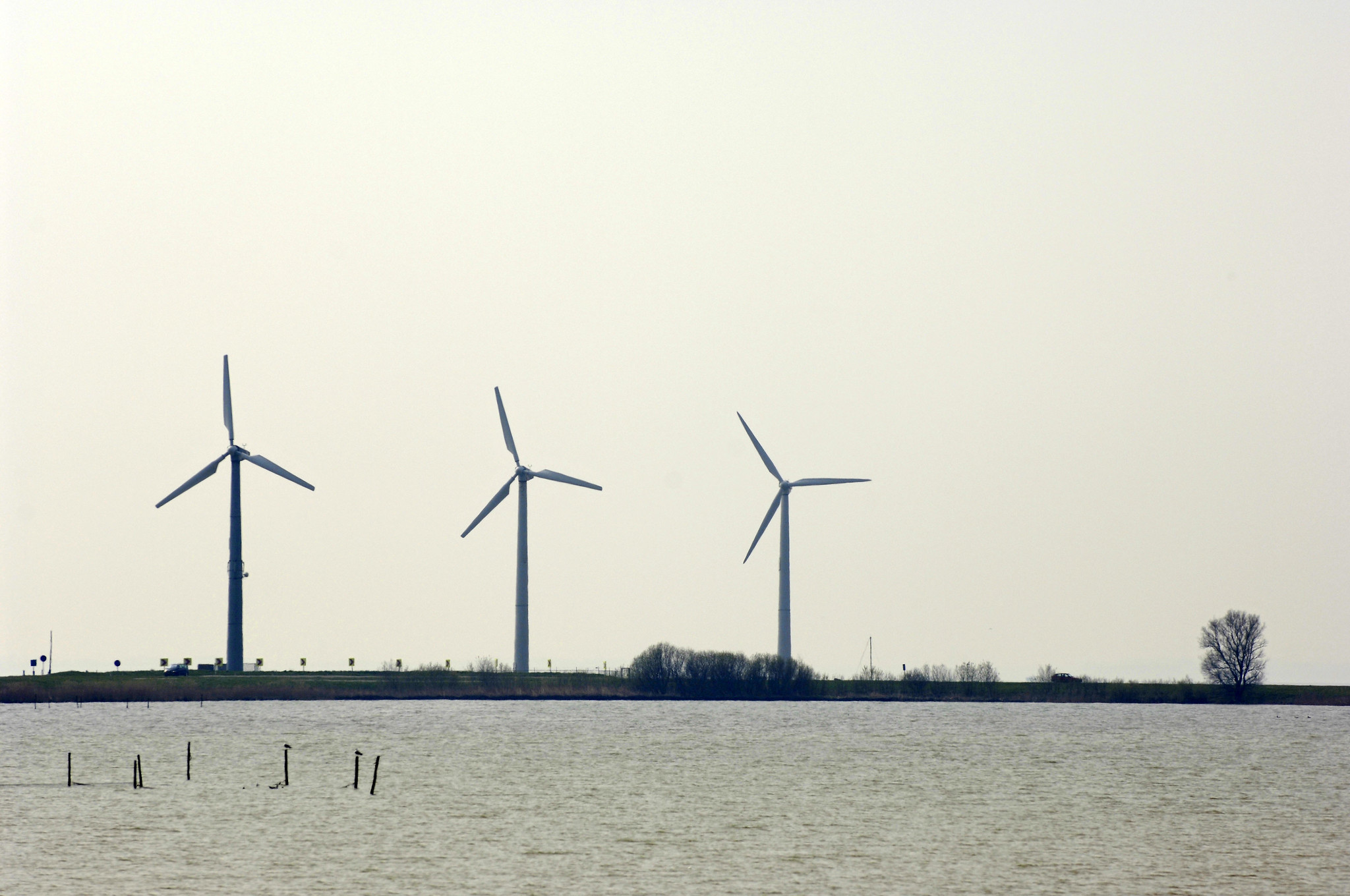 Lake view with three wind turbines on land (Netherlands)