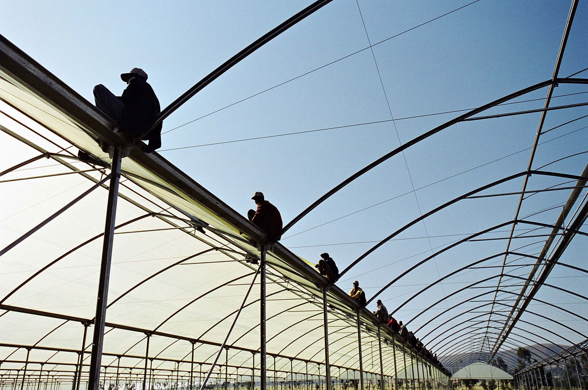 Line of men crouched on top of constructing greenhouse 