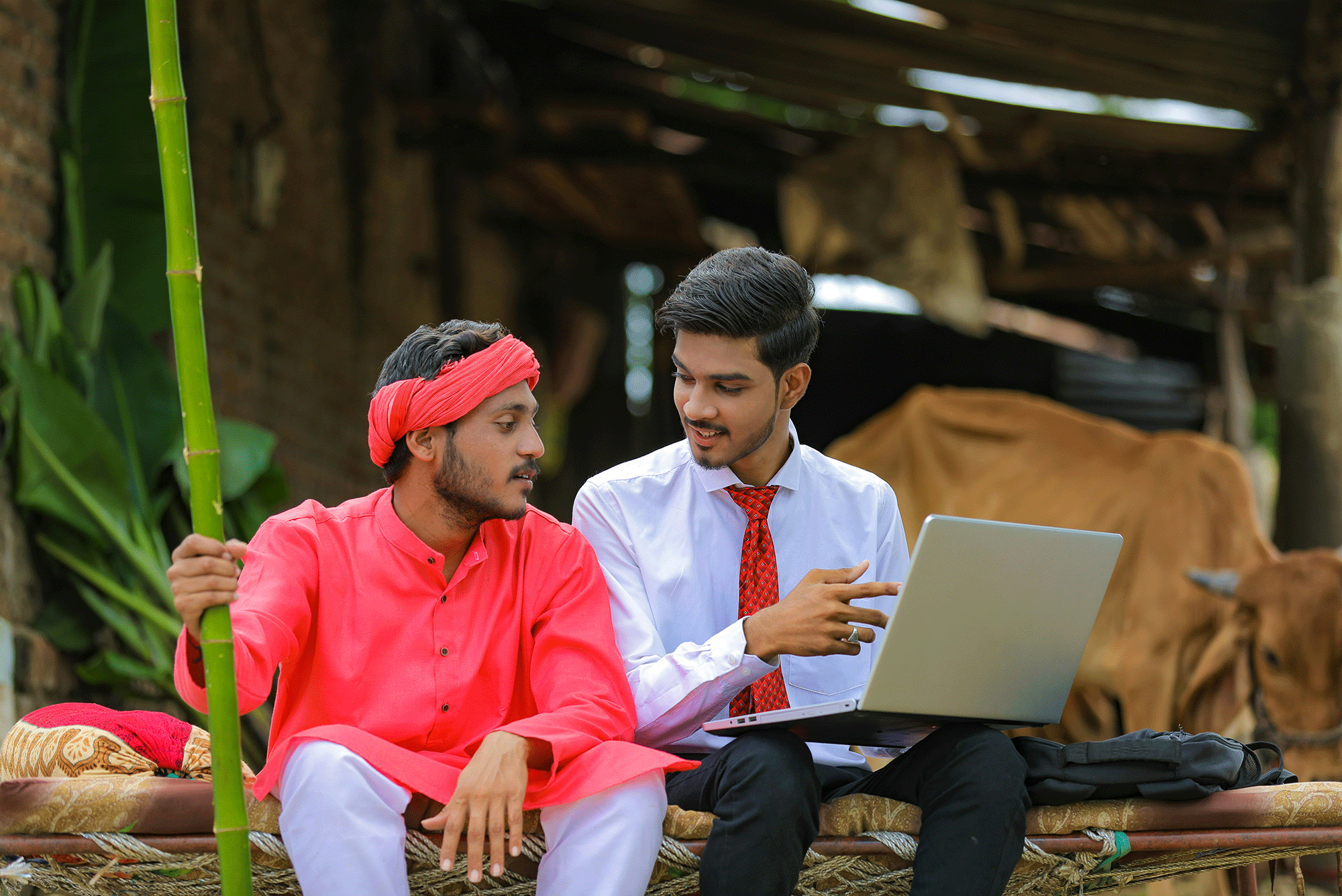 Young indian man showing information on his phone to another indian man in turban