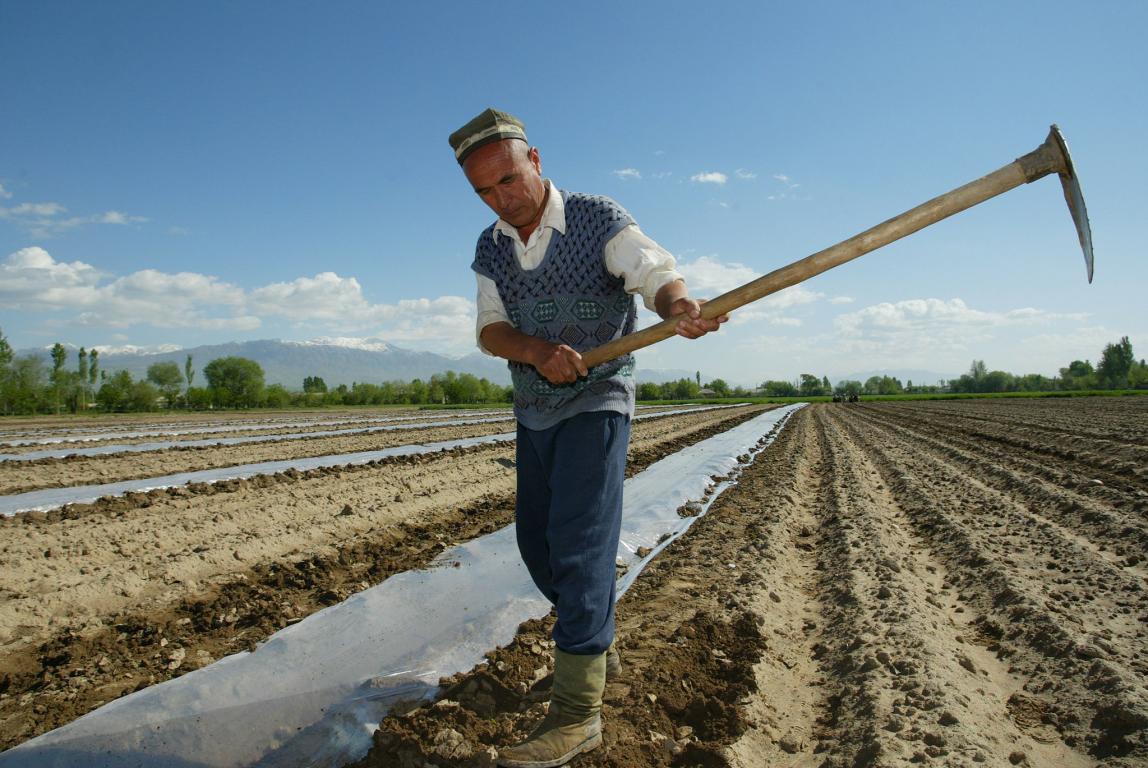 Man in field in Kyrgyzstan yeilding farming equipment