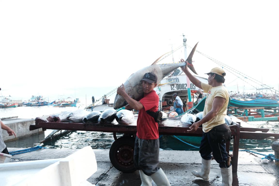 Two fishers unload their fresh catch of tuna at dawn in General Santos fish port.