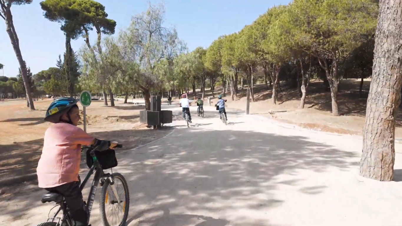 People are riding bicles on a bike path surrounded by trees