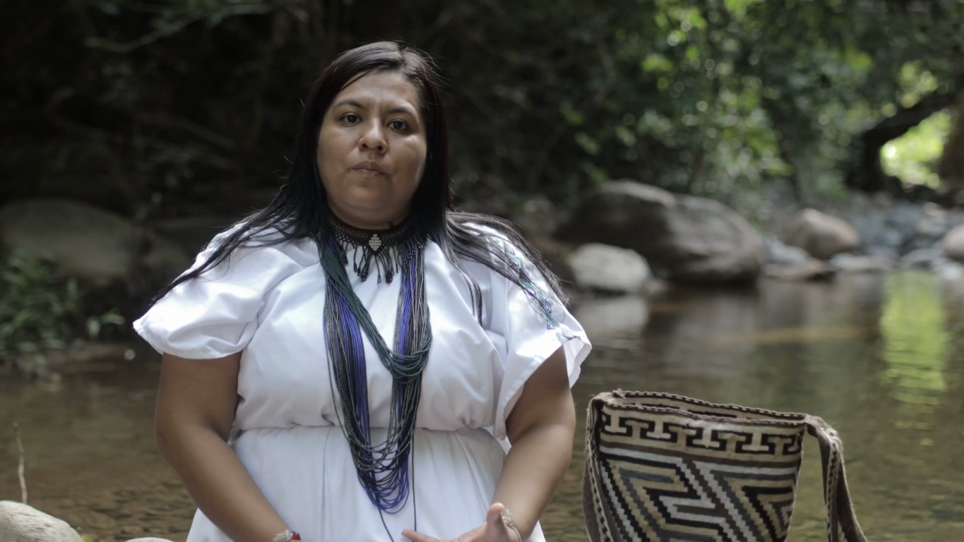 A woman in a white shirt stands in the rainforest