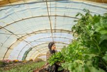 Young lady in greenhouse in Jordan surrounded with plants