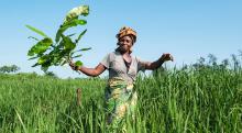 African rural woman in a field