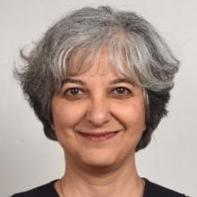 Photo of Anousheh Karvar